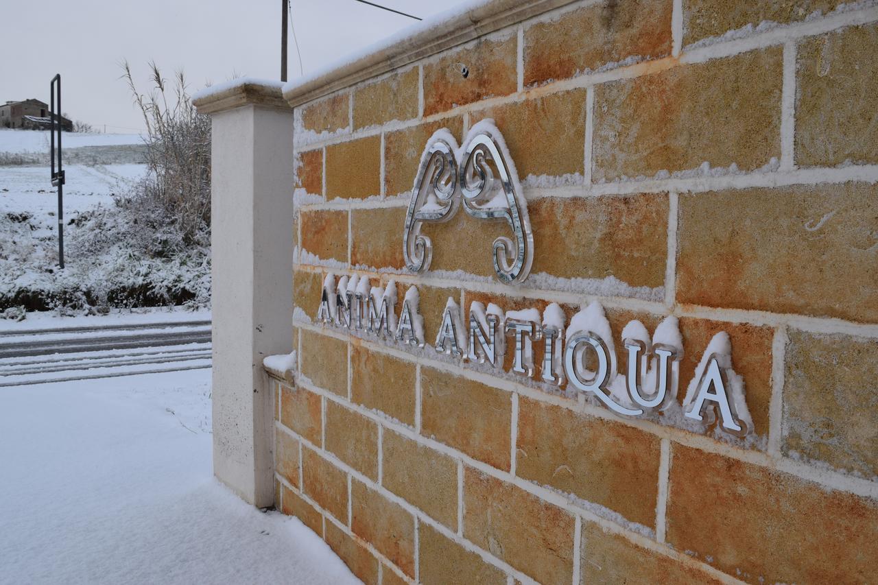 Anima Antiqua Relais & Spa Gioia Sannitica 外观 照片
